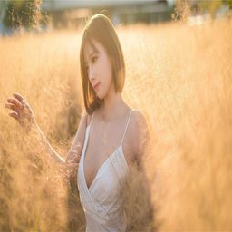 探秘灭火宝贝3美版与法国航空中文版的奇妙结合